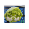 11613191 modelcodercg 1663124558