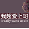 11260556 dayu 125 1663157068