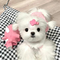 11600404 wanxinyi wxy 1663286728