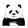 11643737 panda1037 1663676054