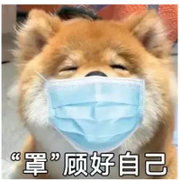 11695926 gitkoala 1664503417