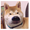 EndlessLoops