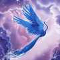 14635 aliseph 1578914983