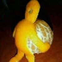 16660 cpppro 1578915109