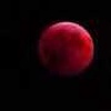 129696 ailuopo 1578918875