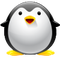 337854 penguinplus 1578920528