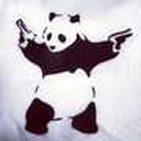 338173 pandaheroes 1578920538