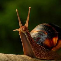 731897 awei23 1578931663