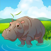 929166 hippo code 1578936193