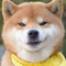 1083244 null 795 1363 1603885538