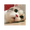 1365286 flashrui 1578949851