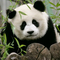 1464297 qiangbin 1594735429