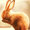 1565645 betterx 1617520417