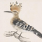 1582865 hoopoe 1578955150