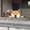 1643956 rabbitluluu 1599790614