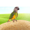 1654107 zxruiself 1578956953