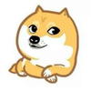 1728247 www742640567qqcom 1578958649