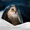 1741723 java superb 1580963380
