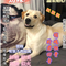 1920364 saixiao 1660894966