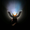 2092059 mjhting 1653062431