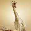 2109813 giraffecode 1578966415