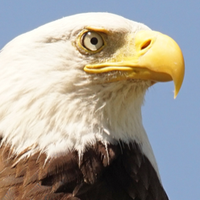 2178552 eagleye 1578968016