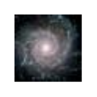4804613 py2010 1578974765