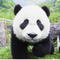 4868365 hyde jiang 1578976054