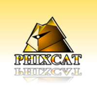 4957098 phixcat 1595504923