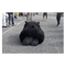 4987937 bestboytjl 1578978055