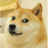 5103752 throwabledoge 1602603893