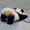 xiaoQQya