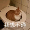 5211915 li daining 1578982502