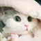 5427378 yu baby 1578986498