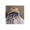 Cc