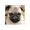 5537831 rongliu 1578988211