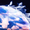 5593906 l19120386 1615714933