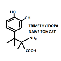 5697044 naivetomcat 1613447510
