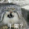 6553391 xu huanxill 1584150283