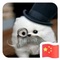 6584683 wx 7251f5cfc4 1584609909