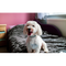 7530306 jiaoboy96 1599897299