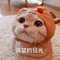8049917 li jielin 1600996552