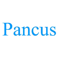 8055911 pancus 1611148424