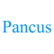 8055911 pancus 1611148424