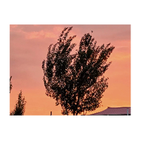 8151454 wx f449080c76 1624626030