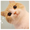 cocorong