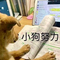 8861284 duxiaokang 1616553581