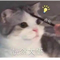 8886320 yao ymf 1617085333