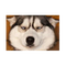 8963534 java  3024 1618303545