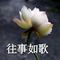 9216783 sweetyam 1622701723